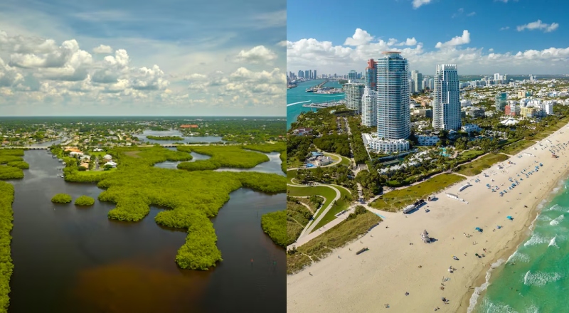 Muito além de Miami: os obstáculos ao crescimento do Norte da Flórida