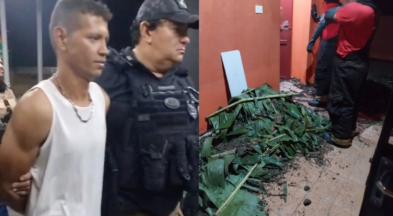 Falso jardineiro mata patrão de 67 anos e foge em Manaus