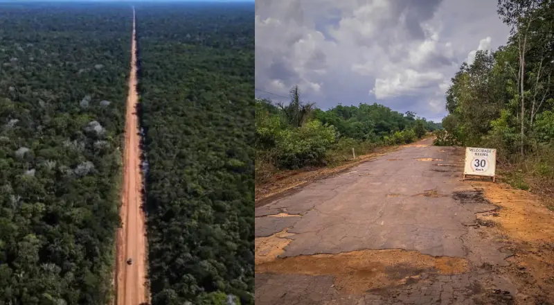 BR-319 vira alvo de nova ofensiva judicial em defesa ambiental