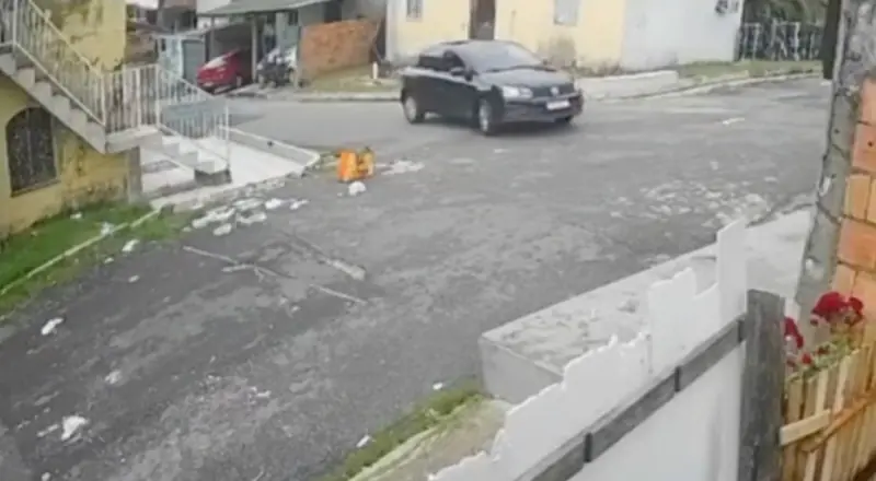 Vídeo de atropelamento de cachorro gera revolta e mobiliza Manaus