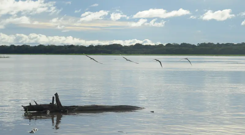 MP do Amazonas fiscaliza ações preventivas para cheia em Anamã