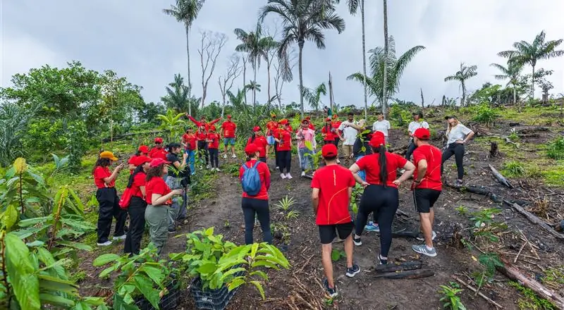 Ação do Grupo Atem no Puraquequara: Reflorestamento e Educação