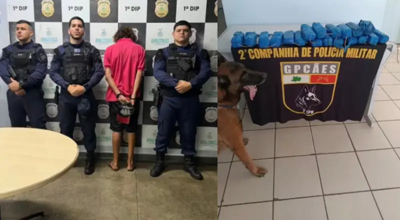 Prejuízo ao tráfico: polícia apreende grande carga de cocaína.