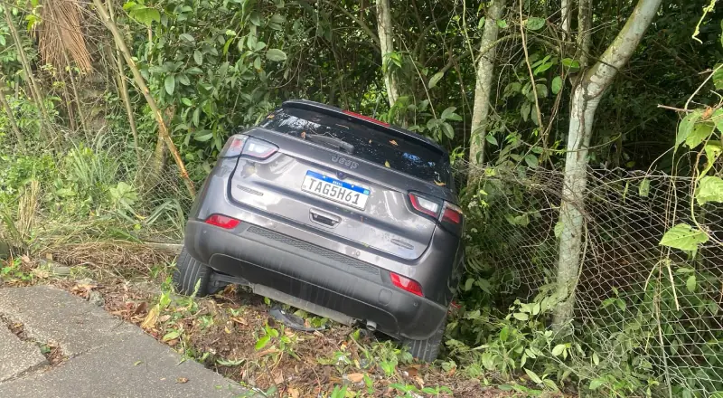 Carro invade área de mata após motorista perder controle no Dom Pedro