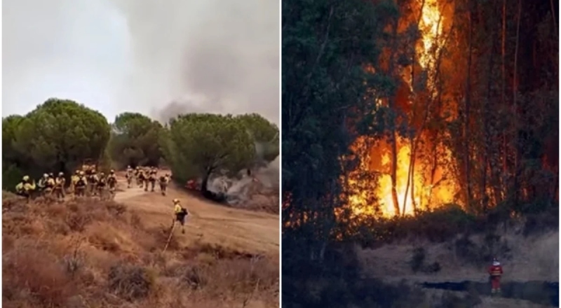 Incêndio florestal atinge 4 mil hectares e afeta comunidade local