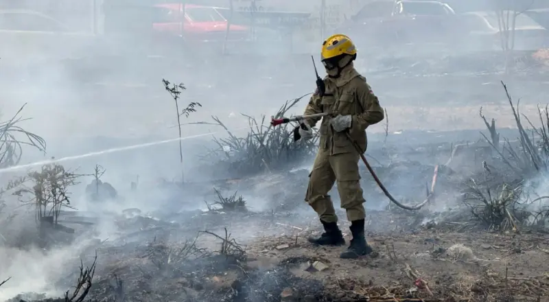 Incêndio de grandes proporções assusta moradores e destrói vegetação na zona Leste de Manaus